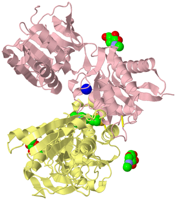 Image Biological Unit 2