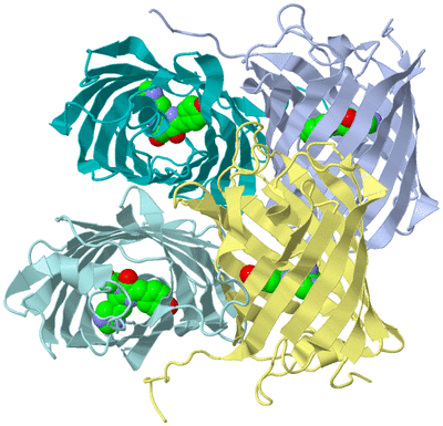 Image Biol. Unit 1 - sites