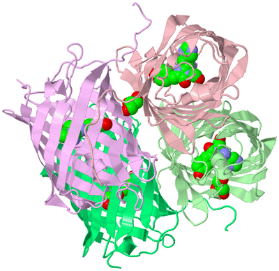 Image Biological Unit 2