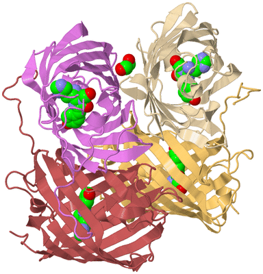 Image Biological Unit 3