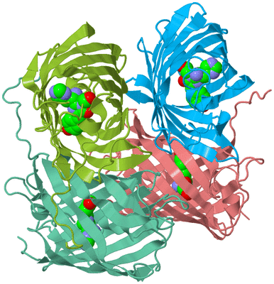 Image Biological Unit 4