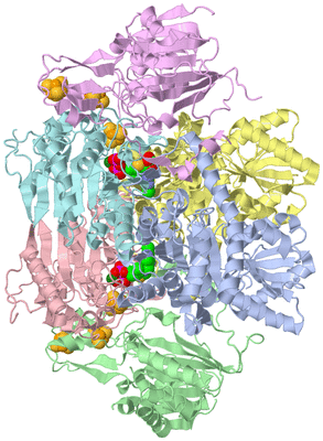 Image Biological Unit 1