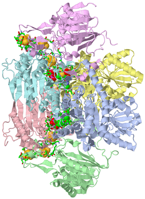 Image Biol. Unit 1 - sites