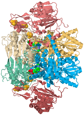 Image Biological Unit 2