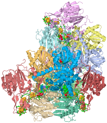 Image Asym. Unit - sites