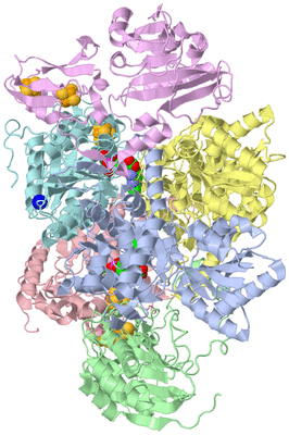 Image Asym./Biol. Unit