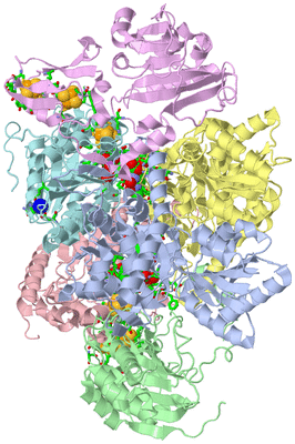 Image Asym./Biol. Unit - sites