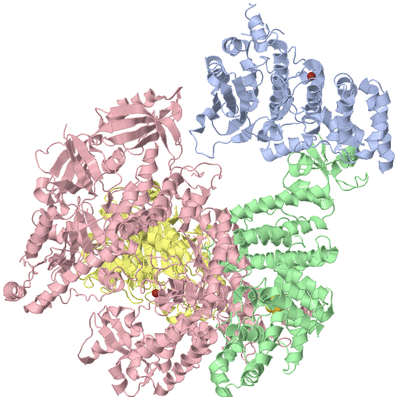 Image Biological Unit 1