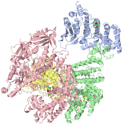 Image Biol. Unit 1 - sites