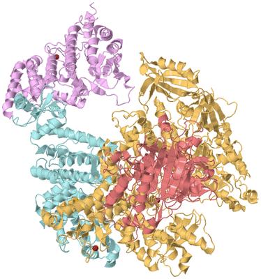 Image Biological Unit 2