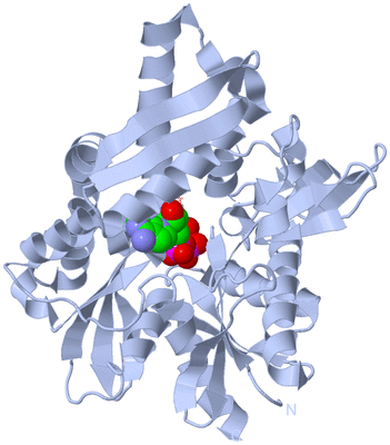 Image Biological Unit 1