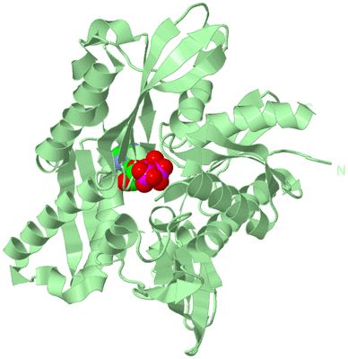 Image Biological Unit 2