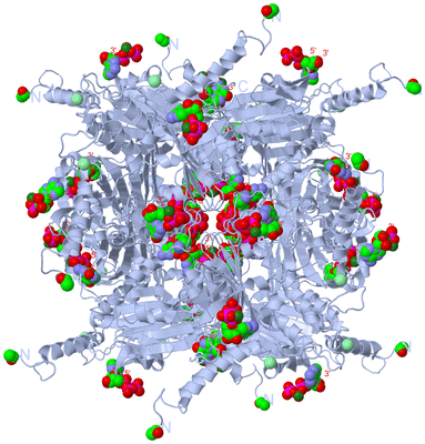 Image Biological Unit 1