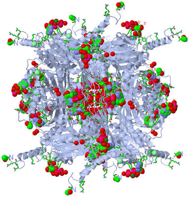 Image Biol. Unit 1 - sites