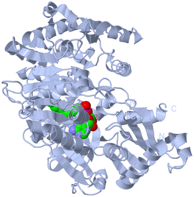 Image Biological Unit 1