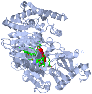 Image Biol. Unit 1 - sites