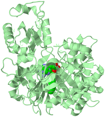 Image Biological Unit 2