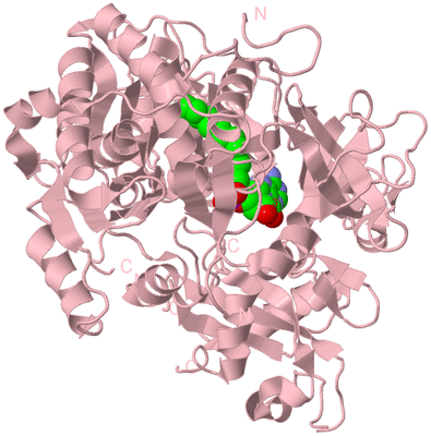 Image Biological Unit 3