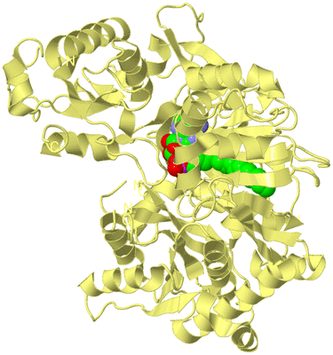 Image Biological Unit 4