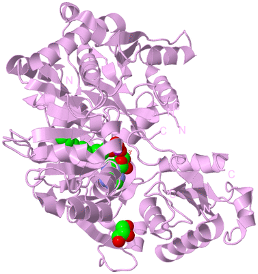 Image Biological Unit 5