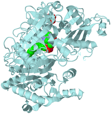 Image Biological Unit 6