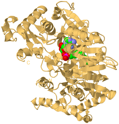 Image Biological Unit 7