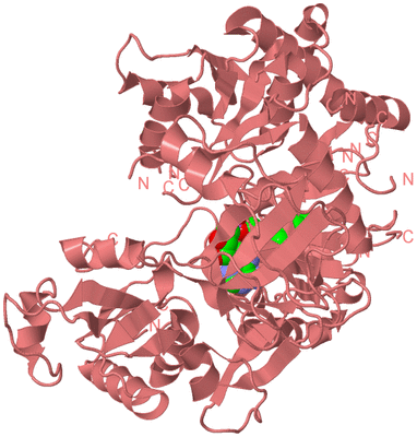 Image Biological Unit 8