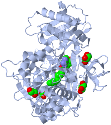 Image Biological Unit 1