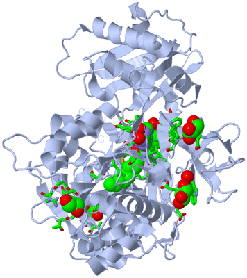 Image Biol. Unit 1 - sites