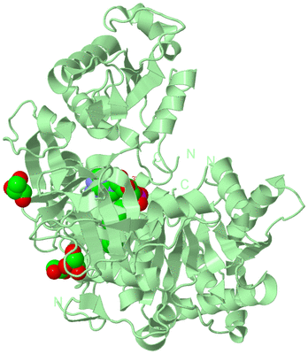 Image Biological Unit 2