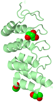 Image Biological Unit 2