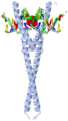 Image Biological Unit 1