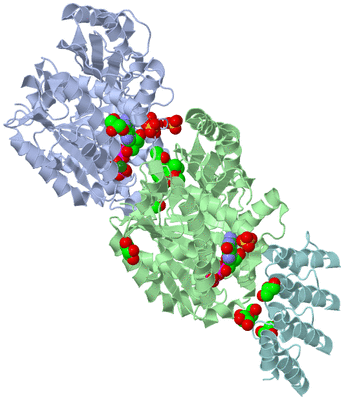 Image Asym./Biol. Unit