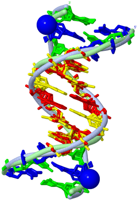 Image Biological Unit 1