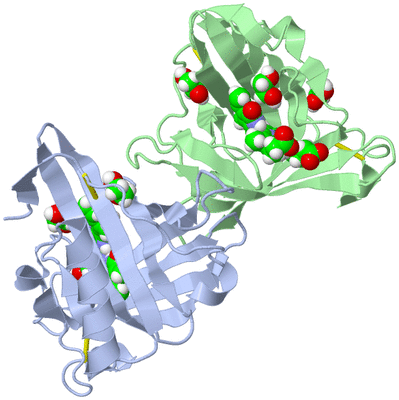 Image Asymmetric Unit