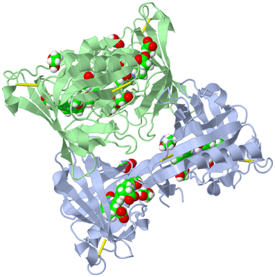 Image Biological Unit 1