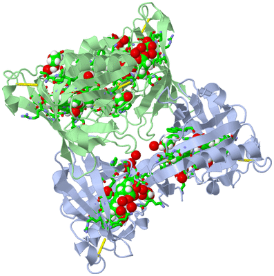 Image Biol. Unit 1 - sites