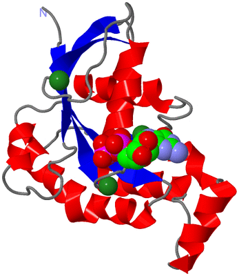 Image Asym./Biol. Unit