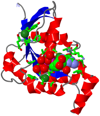 Image Asym./Biol. Unit - sites