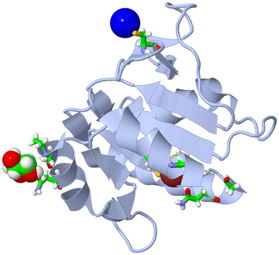 Image Biol. Unit 1 - sites