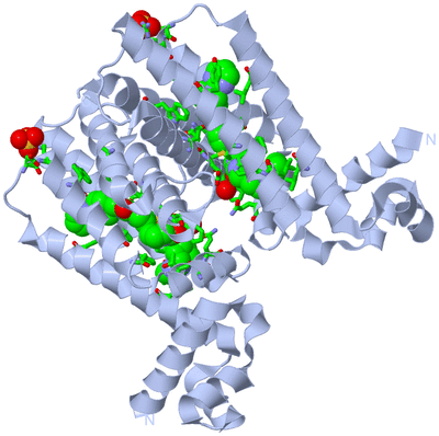 Image Biol. Unit 1 - sites