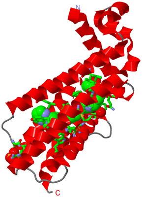 Image Asym. Unit - sites