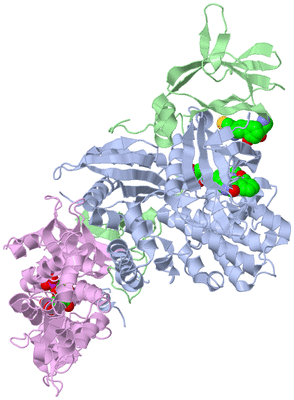 Image Biological Unit 1