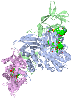 Image Biol. Unit 1 - sites