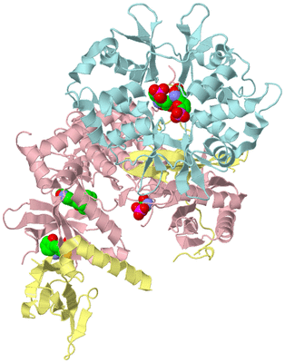 Image Biological Unit 2