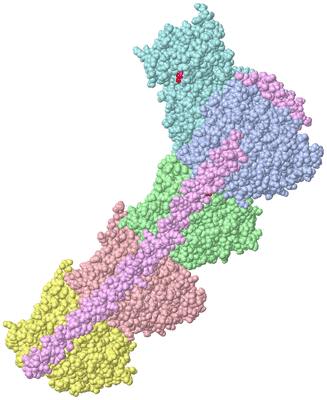 Image Asym./Biol. Unit