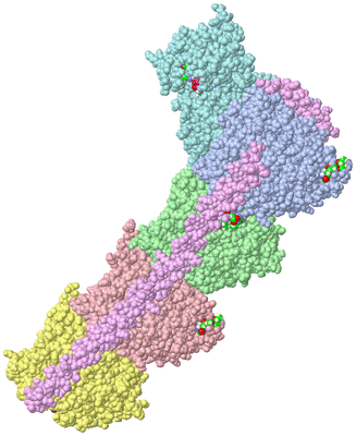 Image Asym./Biol. Unit - sites