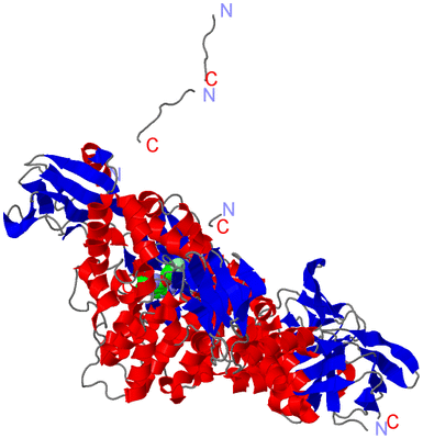 Image Asym./Biol. Unit