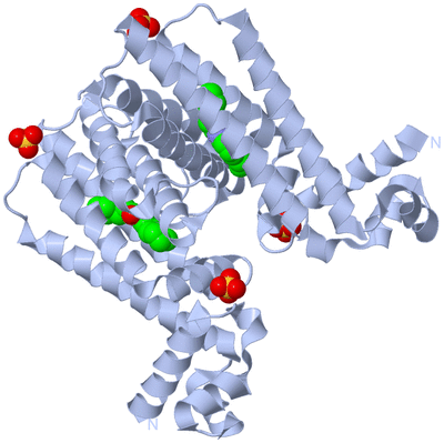 Image Biological Unit 1