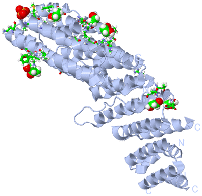 Image Biol. Unit 1 - sites